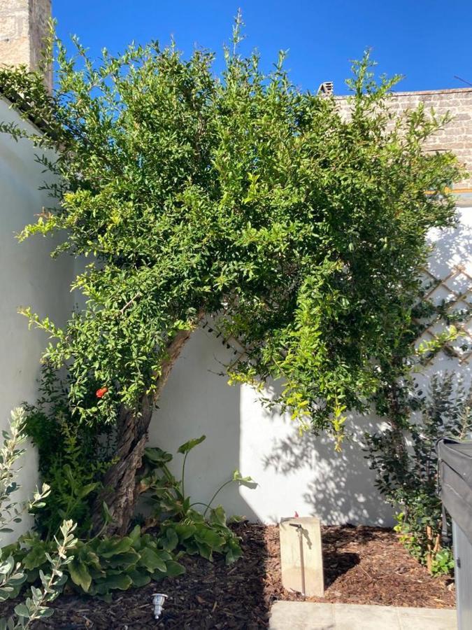 Il Palmento B&B Palmariggi Eksteriør bilde